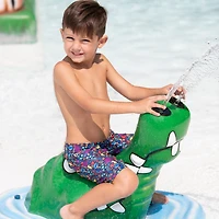 Dolfin Little & Big Kid Boys Swim Trunks