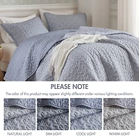 Madison Park Fern Ruffle Floral Printed Reversible 3-pc. Quilt Set