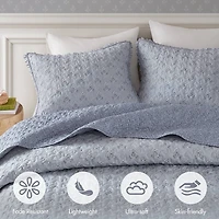 Madison Park Fern Ruffle Floral Printed Reversible 3-pc. Quilt Set
