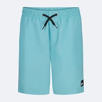 Quiksilver Big Kid Boys Swim Trunks