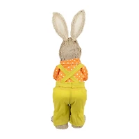 Northlight 16" Standing Boy Rabbit With Carrot Easter Figurine