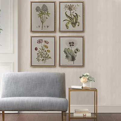 Madison Park Herbal Botany Botanical Illustration 4-pc. Framed Wall Art Sets