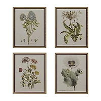 Madison Park Herbal Botany Botanical Illustration 4-pc. Framed Wall Art Sets