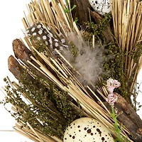 Northlight 14" Speckled Eggs And Feathers Artificial Wreath