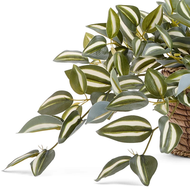 Linden Street 8in Tradescantia Trailing Artificial Plant