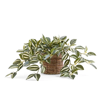 Linden Street 8in Tradescantia Trailing Artificial Plant