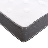Primo Equilibria Pocket Coil 8" Medium Hybrid Tight Top - Mattress a Box