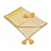 LR Home Riley Stripe Washable Throw