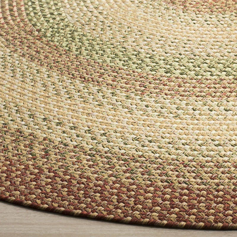 Safavieh Mckenzie Bordered Braided Rug