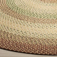 Safavieh Mckenzie Bordered Braided Rug