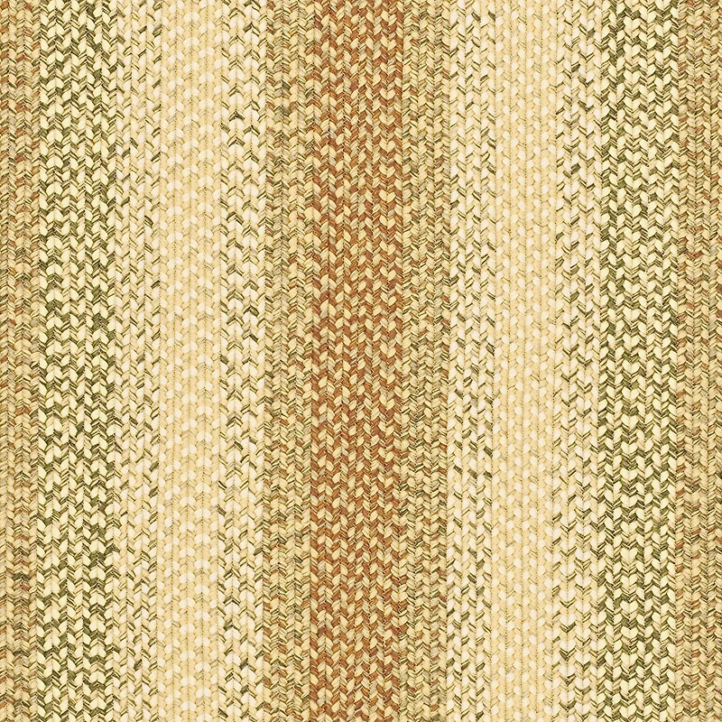 Safavieh Mckenzie Bordered Braided Rug