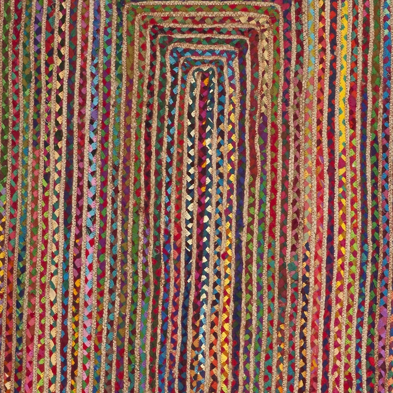 Safavieh Aithne Bordered Rug