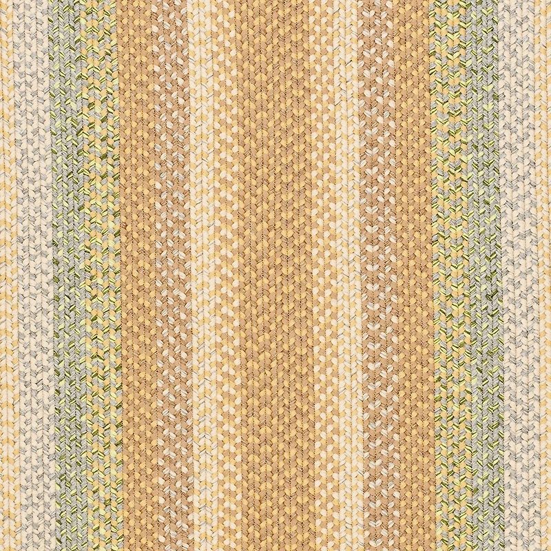 Safavieh Lactrice Bordered Braided Rug
