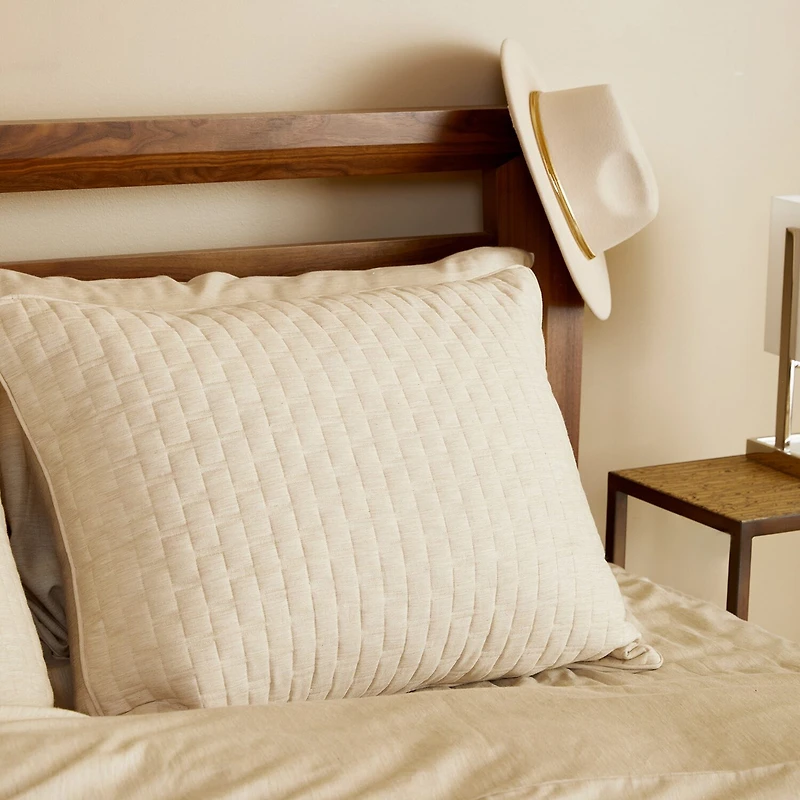 Bedvoyage Eco Melange 2-pc. Throw Pillow Cover
