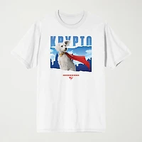 Novelty Mens Crew Neck Short Sleeve Relaxed Fit Superman Graphic T-Shirt