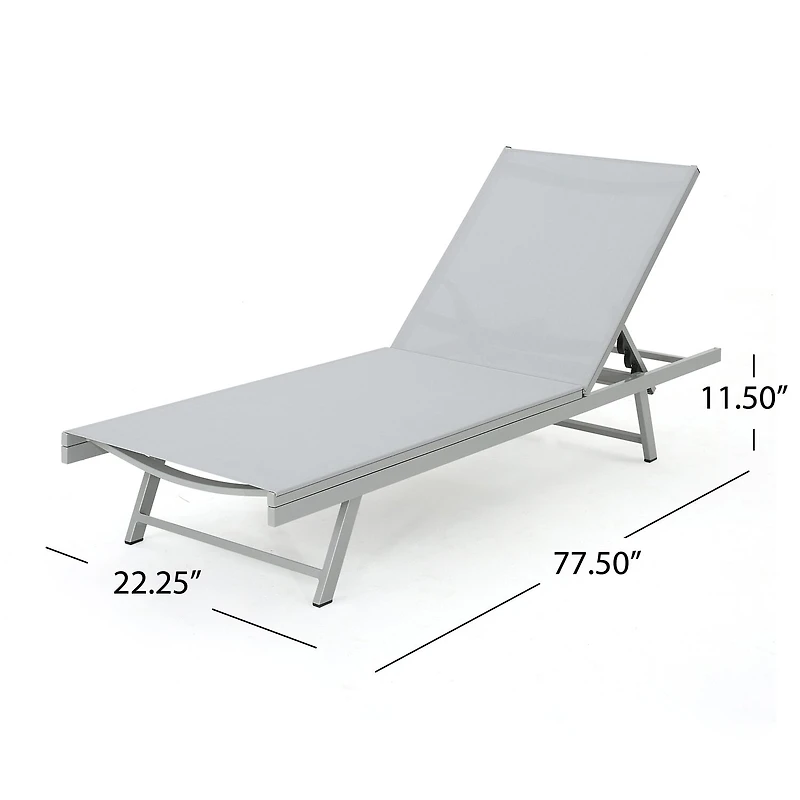 Salton Adjustable 2-pc. Lounge Chair