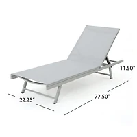 Salton Adjustable 2-pc. Lounge Chair