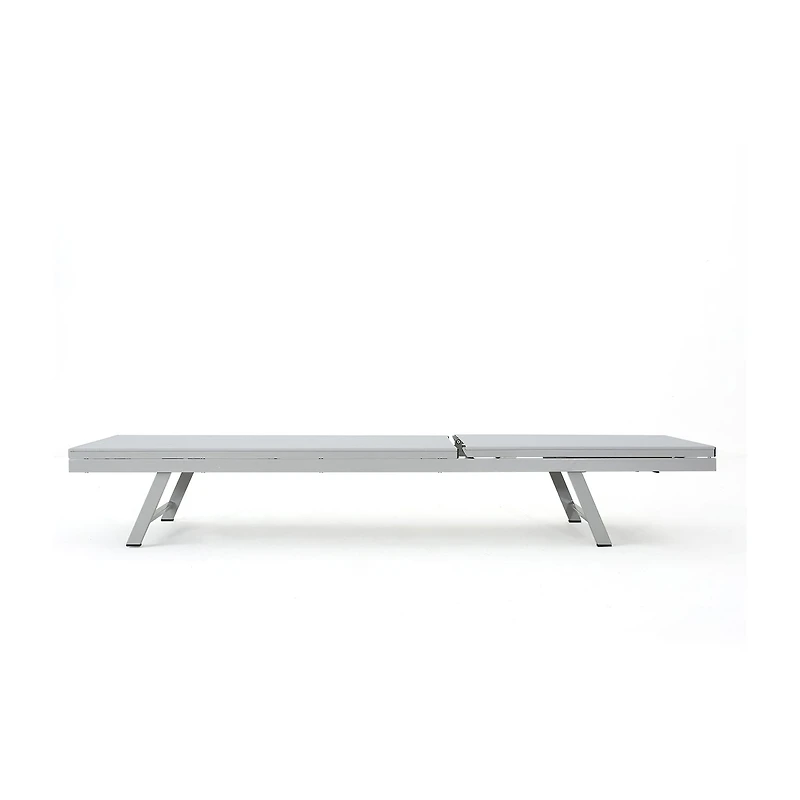 Salton Adjustable 2-pc. Lounge Chair