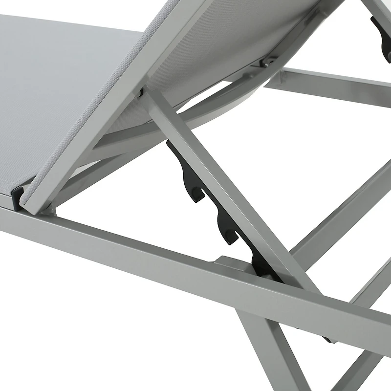 Salton Adjustable 2-pc. Lounge Chair