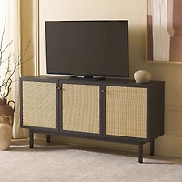 Safavieh Aino TV Stand