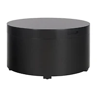 Safavieh Rafaela Storage Coffee Table