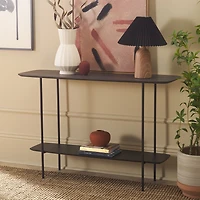 Safavieh Kayleigh Storage Metal Console Table