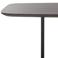 Safavieh Kayleigh Storage Metal Console Table