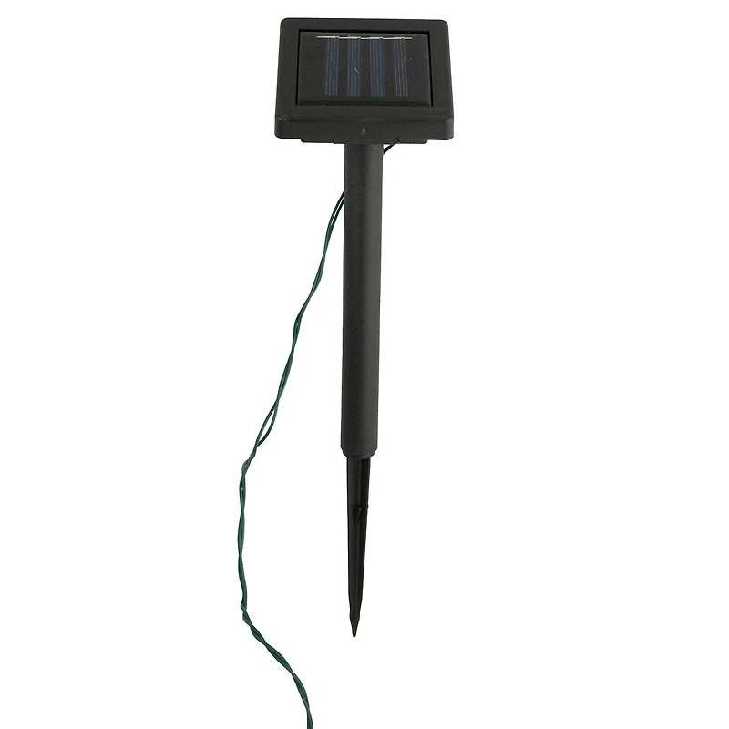 Northlight 3-pc. Solar Lighted Eugenia Artificial Plant