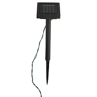 Northlight 3-pc. Solar Lighted Eugenia Artificial Plant