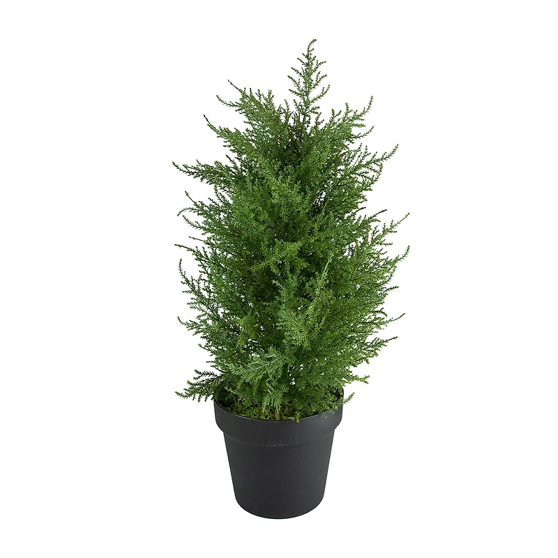 Northlight 2ft Real Touch™ Cedar Pine Petite Arborvitae In Round Pot Artificial Tree