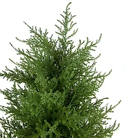 Northlight 2ft Real Touch™ Cedar Pine Petite Arborvitae In Round Pot Artificial Tree