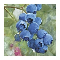 Lumaprints Blueberries Ii Traditional Canvas Art