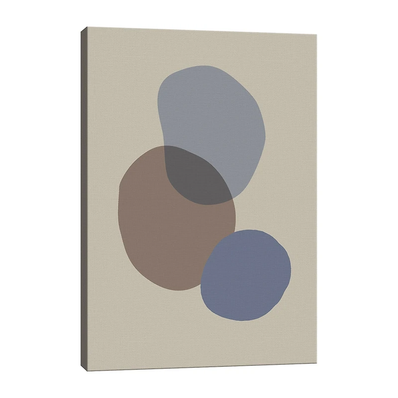 Lumaprints Organic Shapes V Contemporary Canvas Art