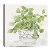 Lumaprints Houseplant I Philodendron Canvas Art