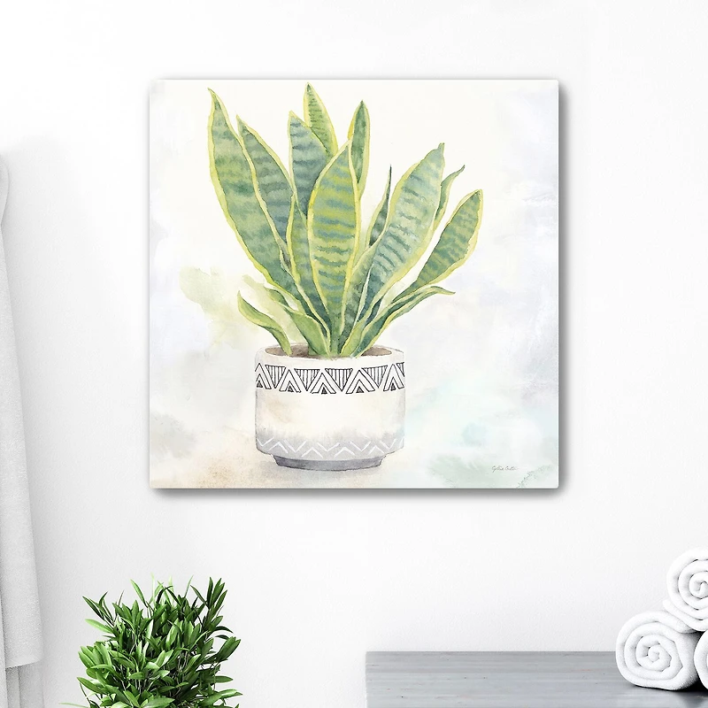Houseplant IV Snake Plant Canvas Art