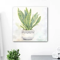 Houseplant IV Snake Plant Canvas Art