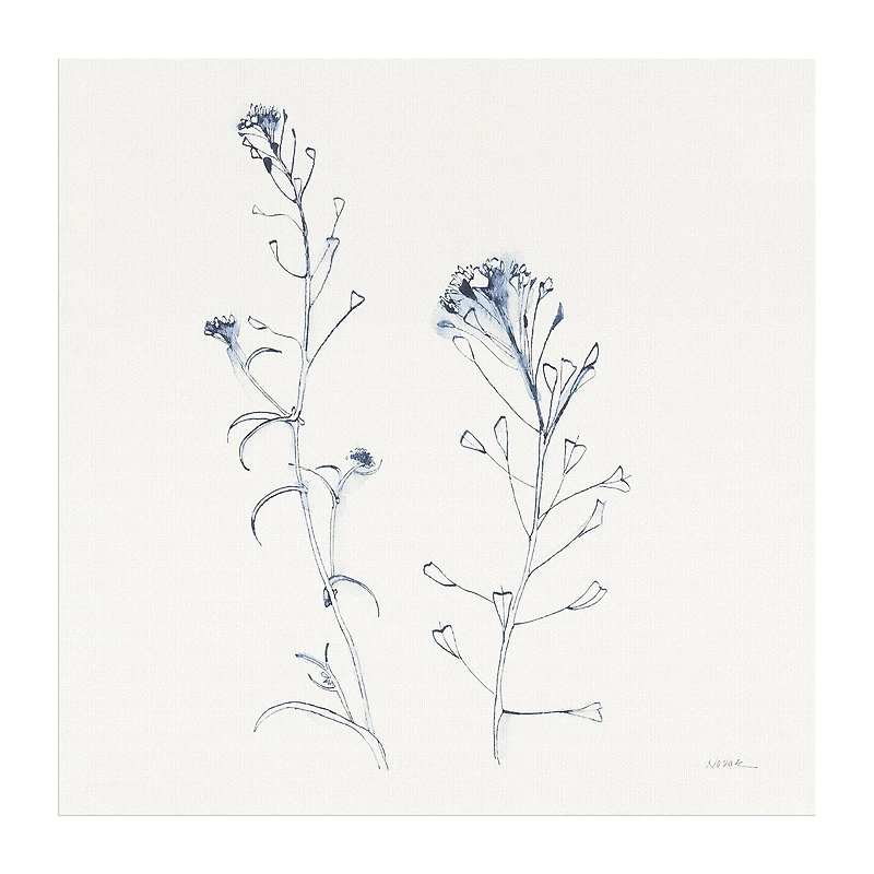 Lumaprints Shepherds Purse Stems I Blue Canvas Art