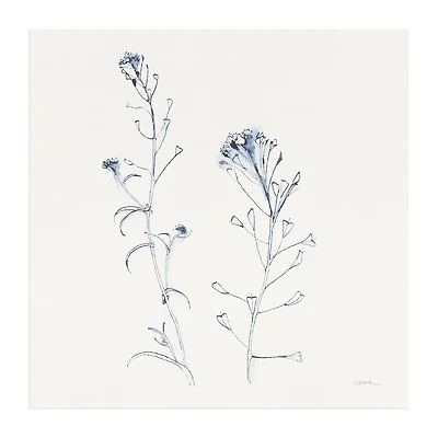 Lumaprints Shepherds Purse Stems I Blue Canvas Art