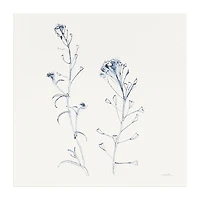 Lumaprints Shepherds Purse Stems I Blue Canvas Art