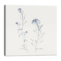 Lumaprints Shepherds Purse Stems I Blue Canvas Art