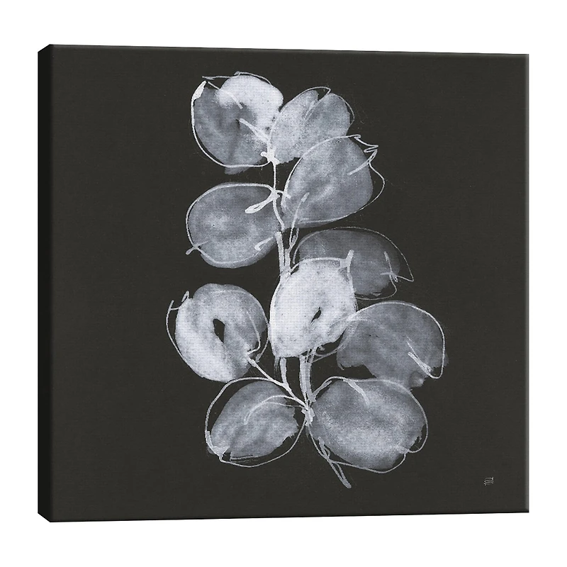 Lumaprints White Eucalyptus I Canvas Art
