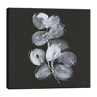 Lumaprints White Eucalyptus I Canvas Art