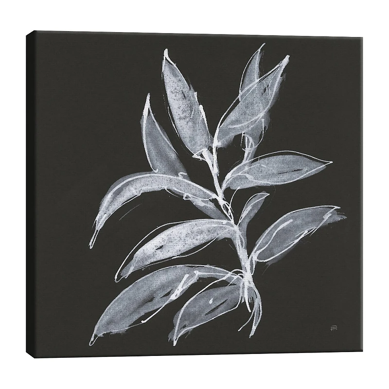 Lumaprints Branch Iv Canvas Art