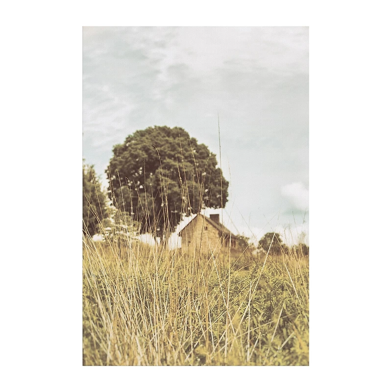 Lumaprints Grass And Sky Light Canvas Art