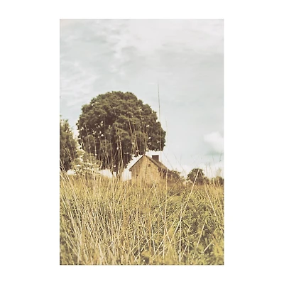 Lumaprints Grass And Sky Light Canvas Art