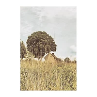 Lumaprints Grass And Sky Light Canvas Art