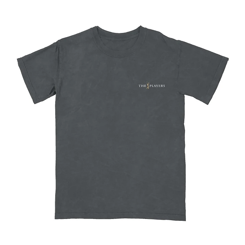 Mens Crew Neck Short Sleeve Regular Fit Graphic T-Shirt