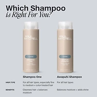 Paul Mitchell “Shampoo One” Everyday Wash Shampoo 33.8 oz.