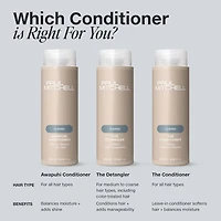 Paul Mitchell The Conditioner Leave-In Conditioner 16.9 oz.