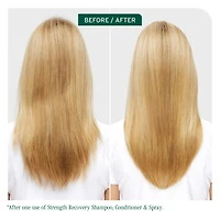 Biolage Strength Recovery Shampoo 13.5 oz.